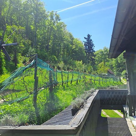 Das Altsteirische Landhaus - La Maison De Pronegg - Feriendomizil Im Biosphaerenpark Wienerwald Pressbaum Exterior foto