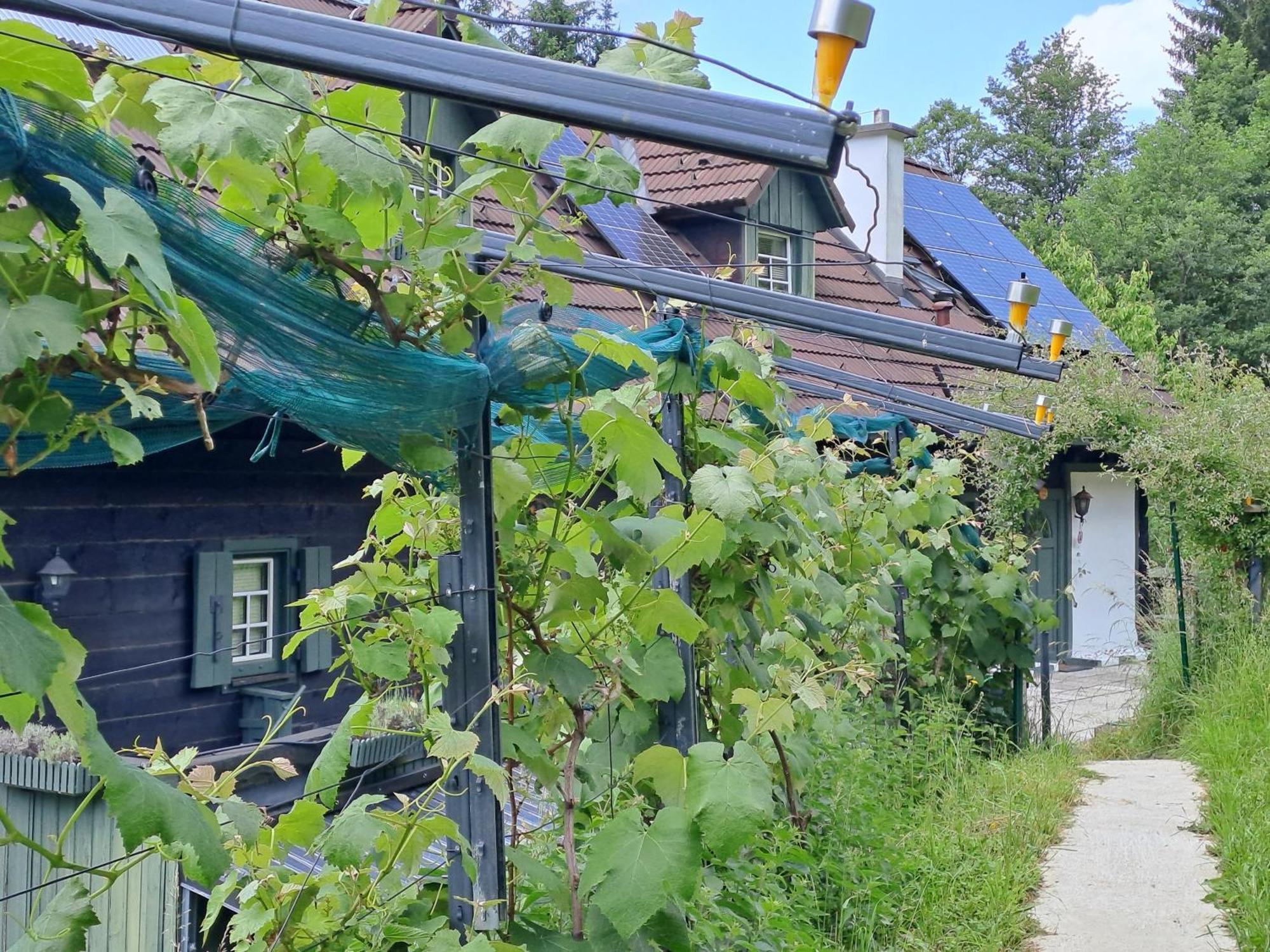 Das Altsteirische Landhaus - La Maison De Pronegg - Feriendomizil Im Biosphaerenpark Wienerwald Pressbaum Exterior foto