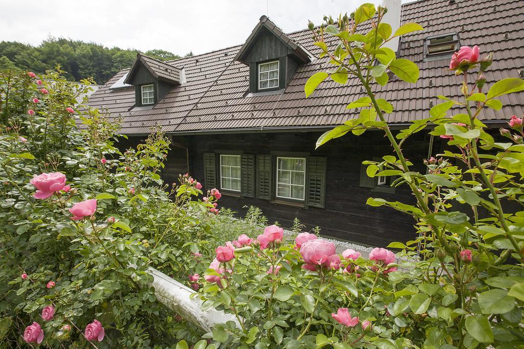Das Altsteirische Landhaus - La Maison De Pronegg - Feriendomizil Im Biosphaerenpark Wienerwald Pressbaum Habitación foto